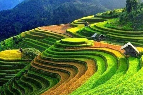 Tintuc Newparadise 03