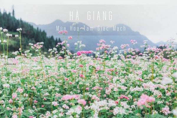 Tintuc Newparadise 04