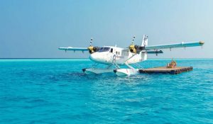 1fff63bb297ccc22956d