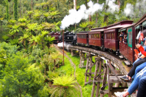 Puffing Billy Train