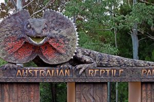 Reptile Park