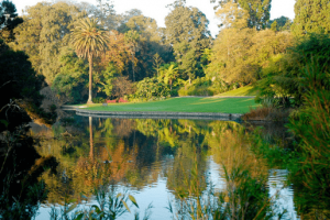Royal Botanic Garden (1)