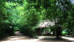 Tour Sai Gon Dia Dao Cu Chi