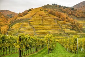 Wachau Valley Min