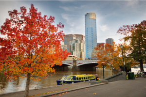 Yarra River Walk