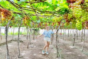 Myyen97 205414115423 Vuon Nho