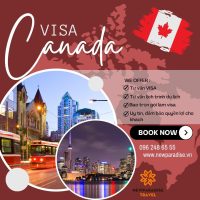 409760568 855376379927850 8152798541985825304 N