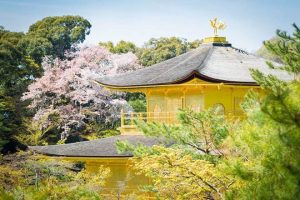 Chua Vang Nhat Ban Kinkakuji Bieu Tuong Cua Kyoto4