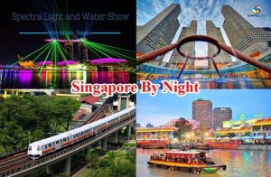 Singapore By Night